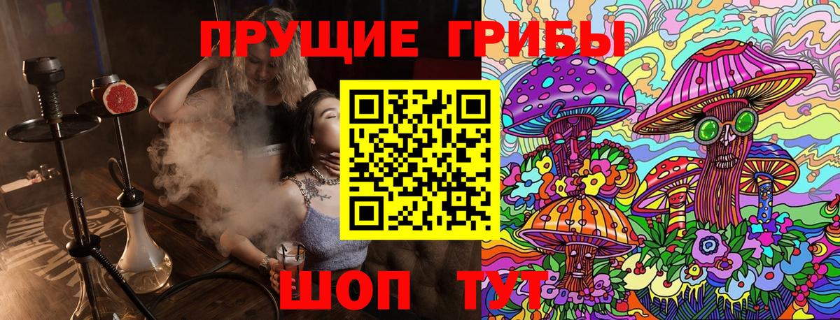 Выборг  купить наркотики цена  Вход с VPN  Псилоцибиновые грибы GOLDEN TEACHER 